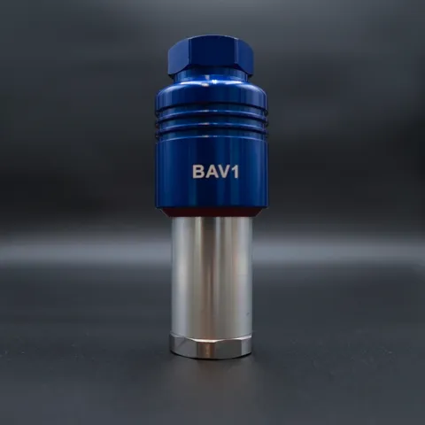 BAV1